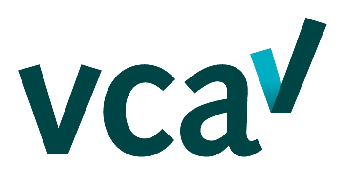 Nederland werkt veiliger met VCA